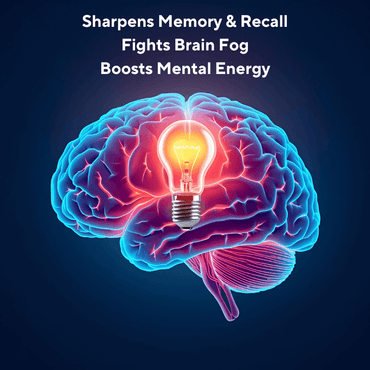 A diagram of a brain with a lightbulb, representing the enhanced cognitive function from our brain supplement for memory